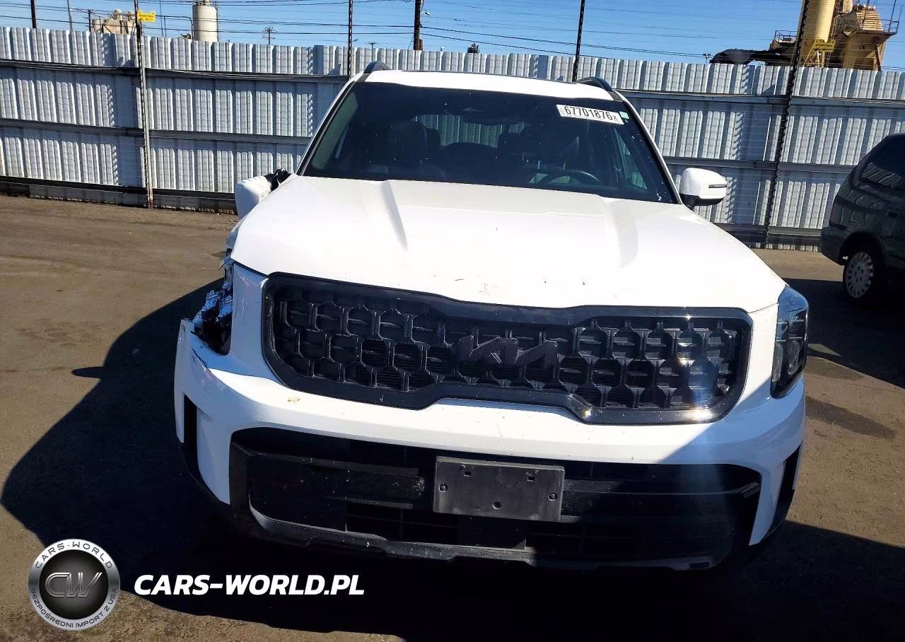2025 Kia Telluride Ex X-Line VIN:5XYP3DGC3SG573758 - 5
