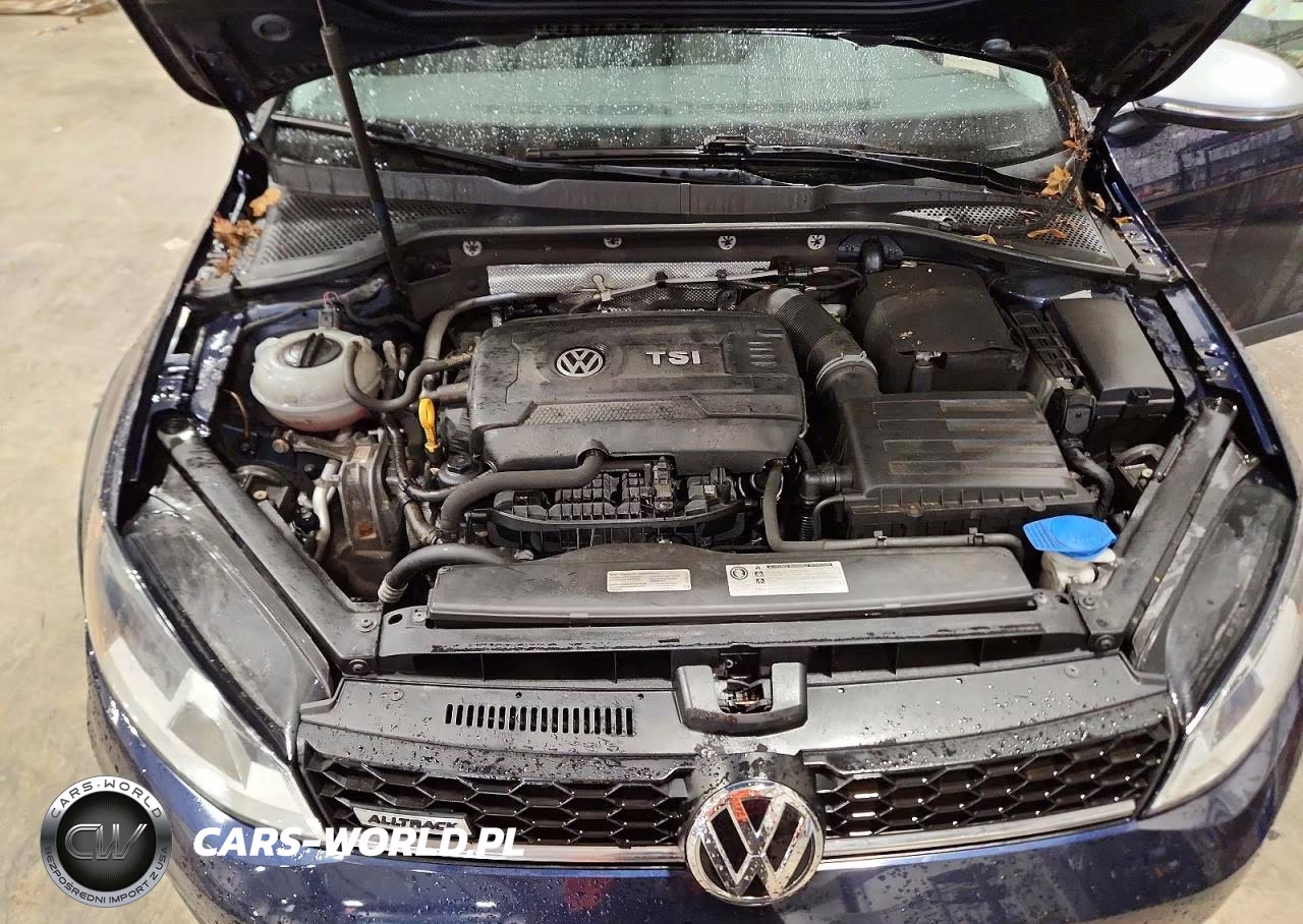 2017 Volkswagen Golf Alltrack S VIN:3VWH17AU3HM539891 - 11