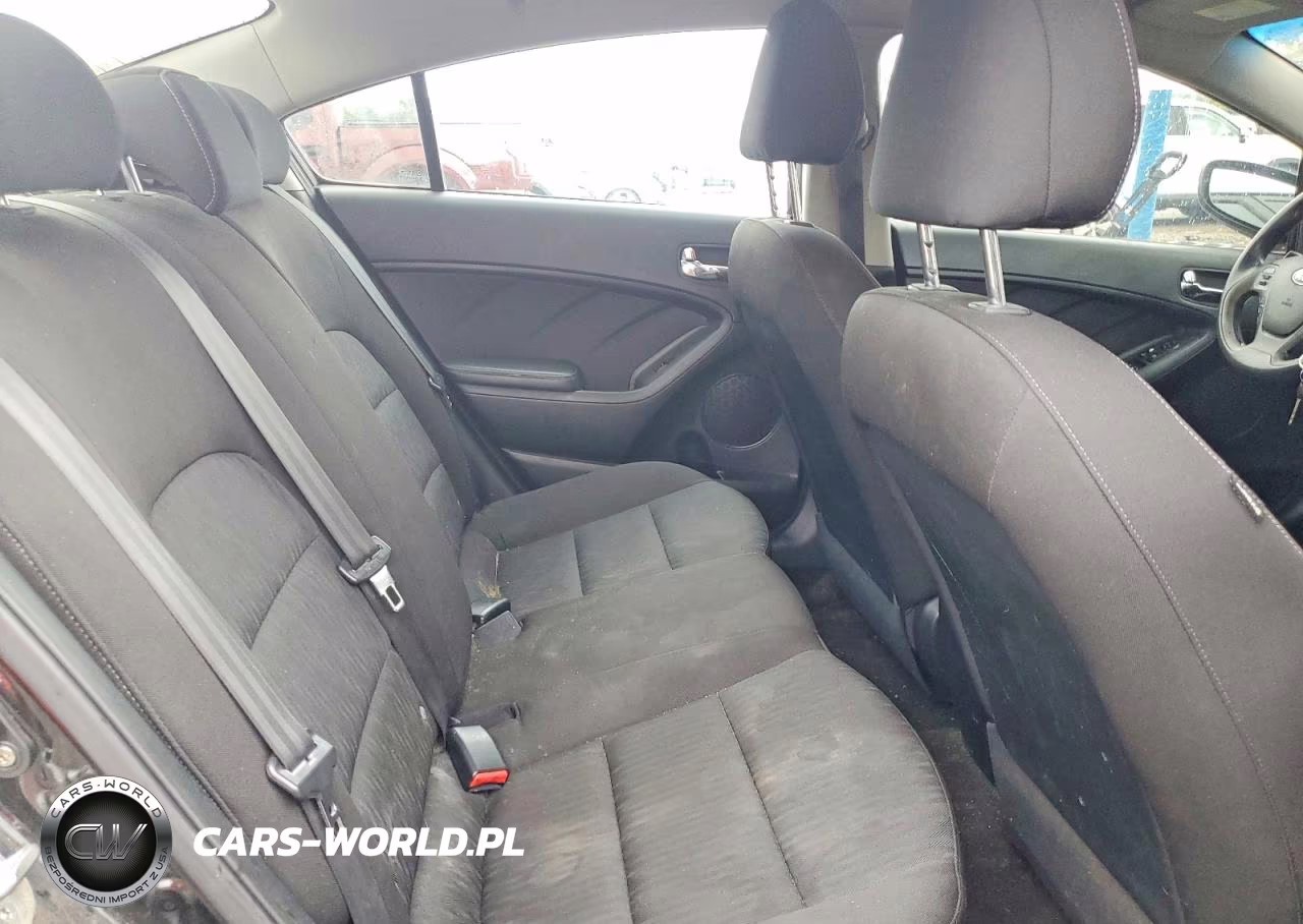 2014 Kia Forte Lx VIN:KNAFK4A60E5140944 - 10