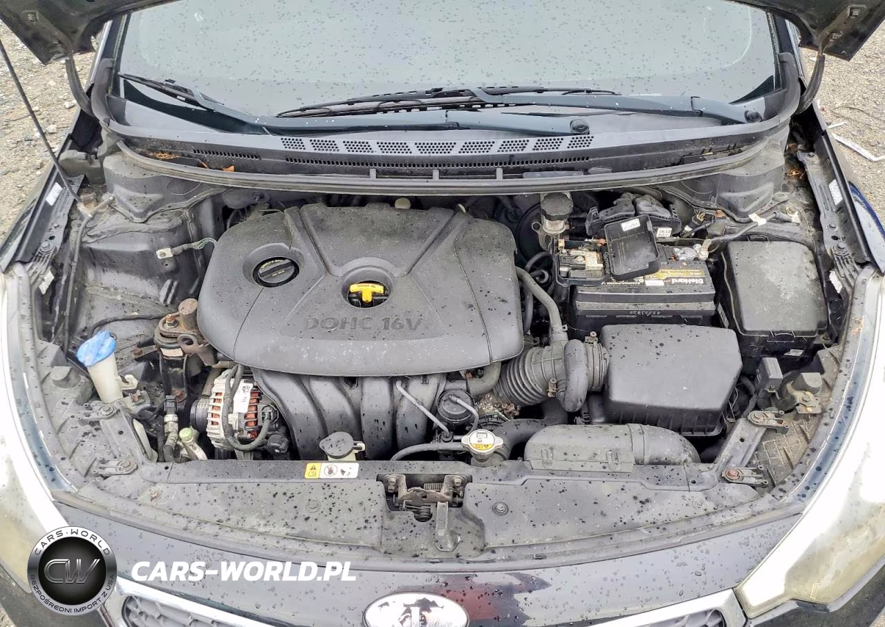 2014 Kia Forte Lx VIN:KNAFK4A60E5140944 - 11