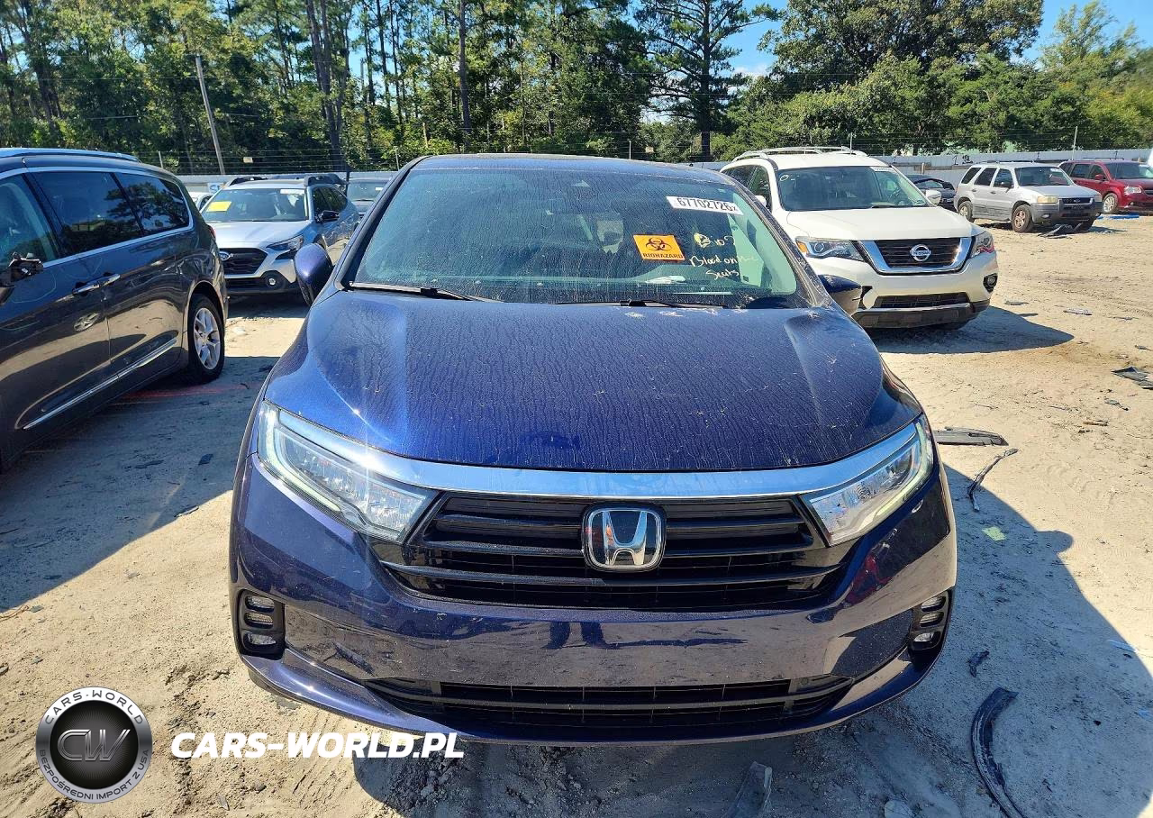 2024 Honda Odyssey Exl VIN:5FNRL6H61RB010917 - 5