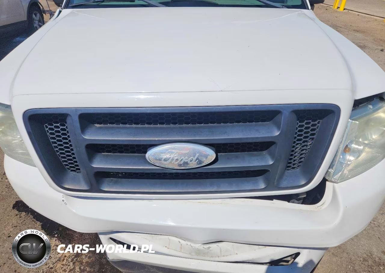 2006 Ford F150 VIN:1FTRX12W06NA41752 - 11