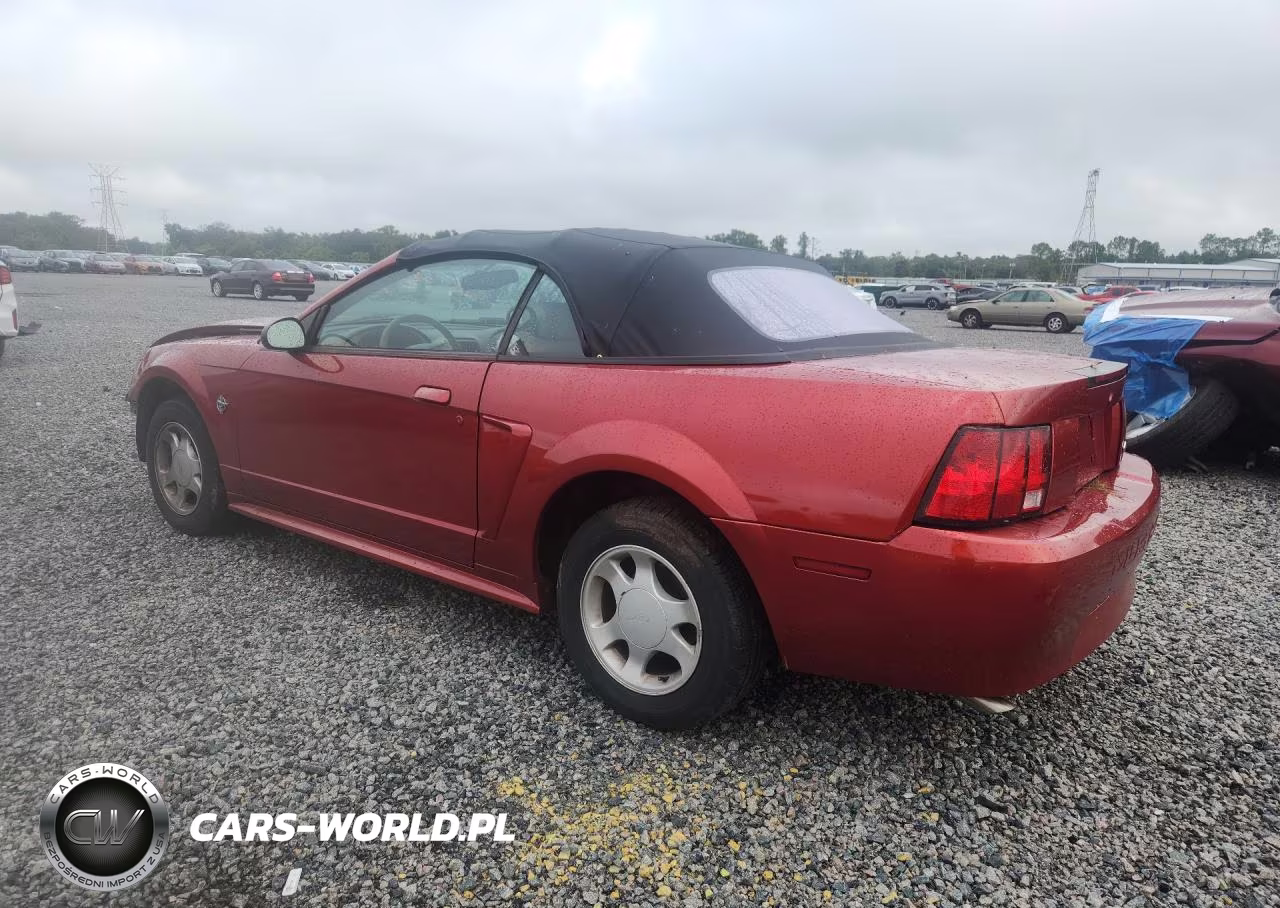 1999 Ford Mustang VIN:1FAFP4441XF101054 - 2