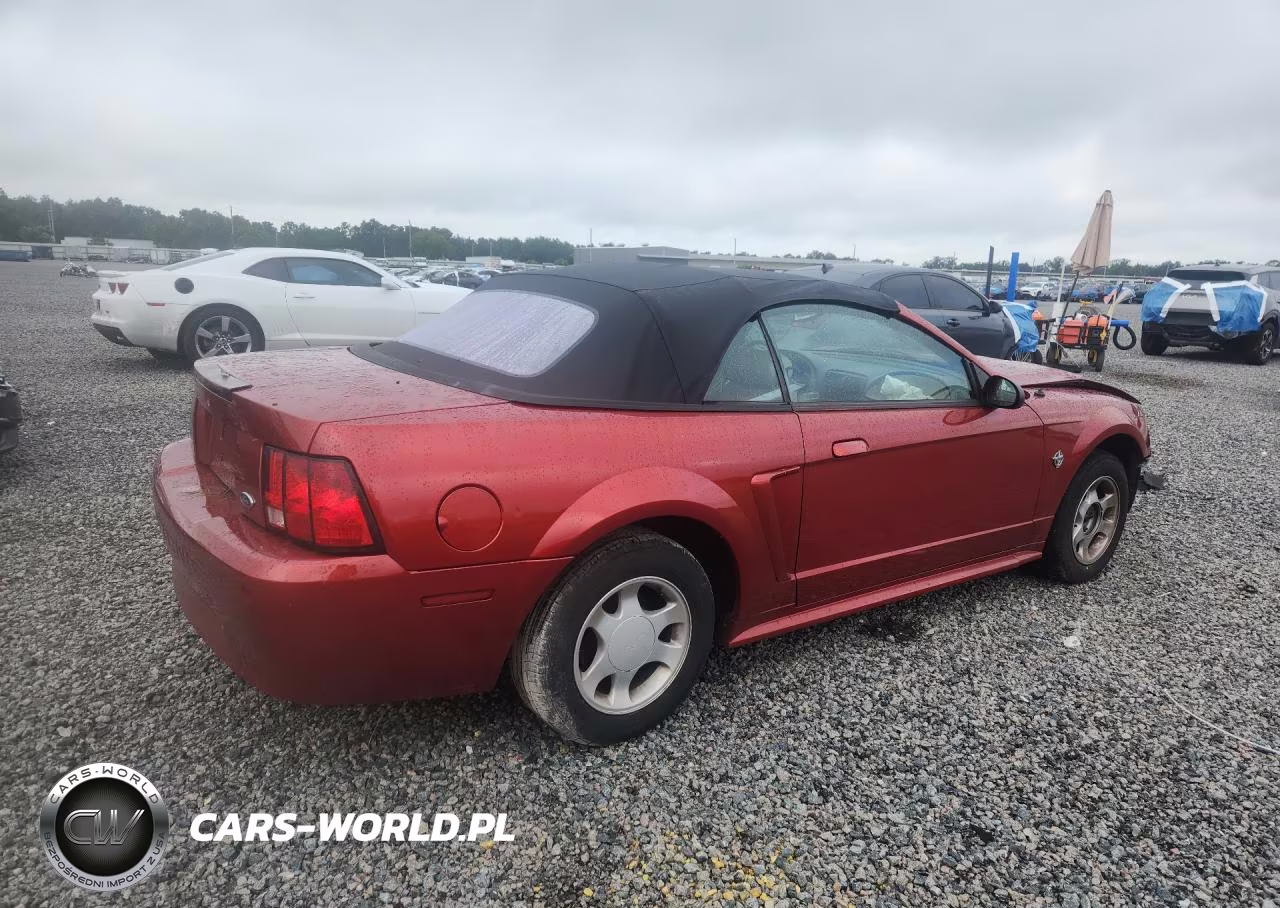 1999 Ford Mustang VIN:1FAFP4441XF101054 - 3