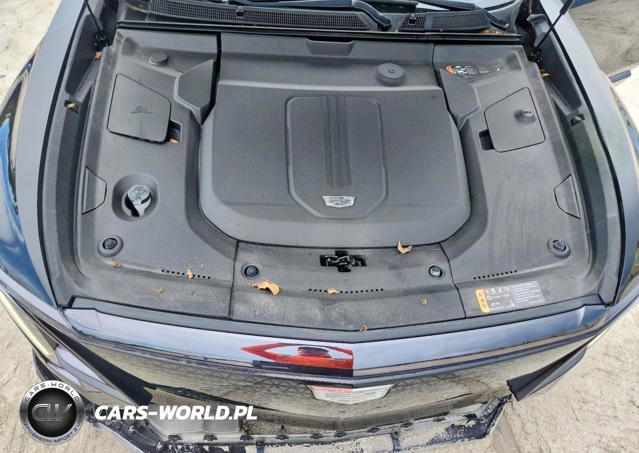 2024 Cadillac Lyriq Sport VIN:1GYKPTRL3RZ140534 - 12