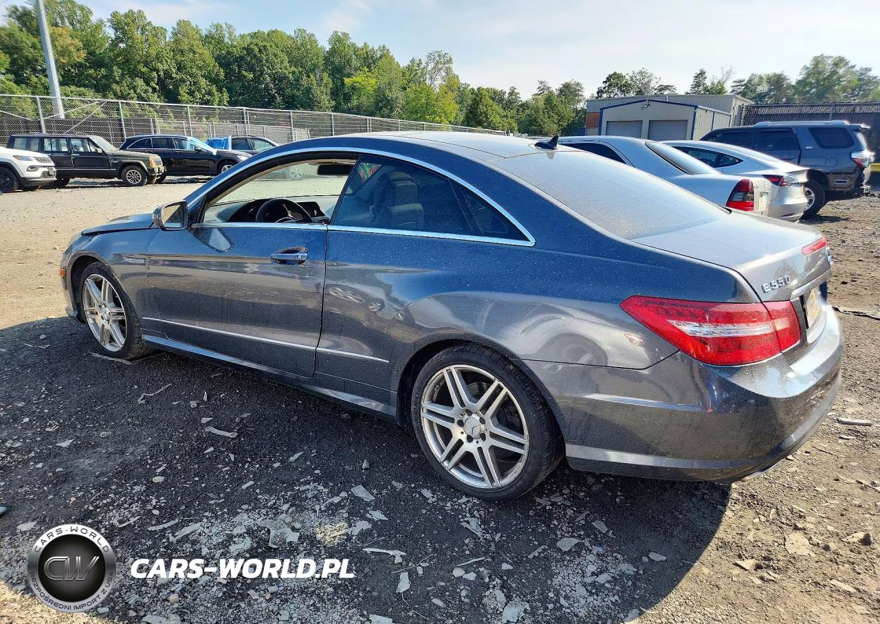 2010 Mercedes-Benz E 550 VIN:WDDKJ7CB2AF000405 - 2