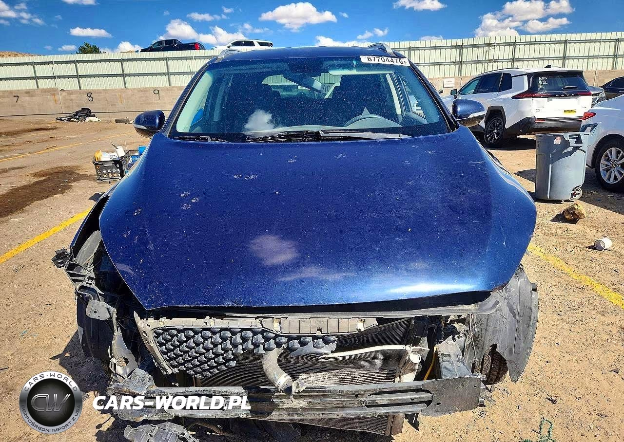 2016 Kia Sorento Lx VIN:5XYPG4A32GG004548 - 5