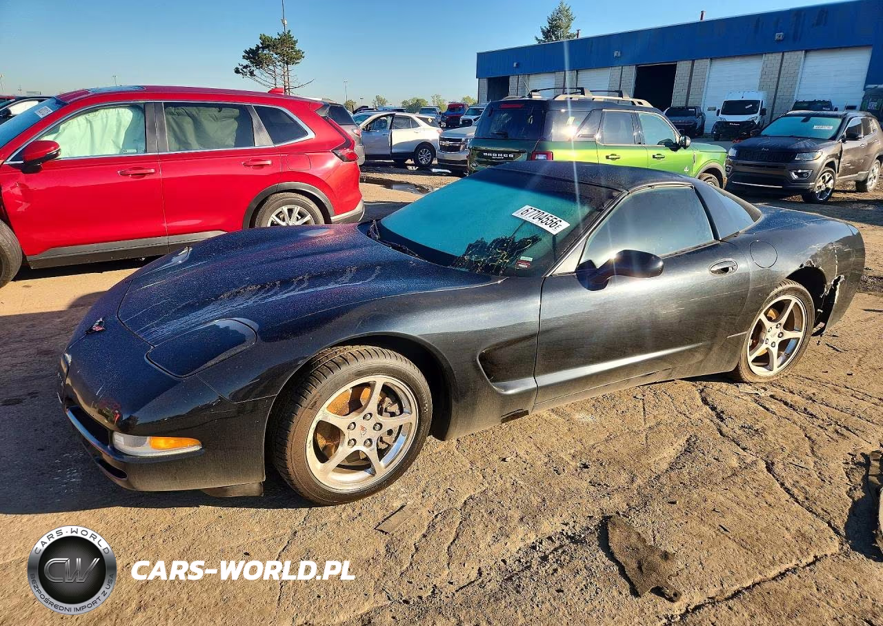 2004 Chevrolet Corvette VIN:1G1YY22GX45132198 - 1