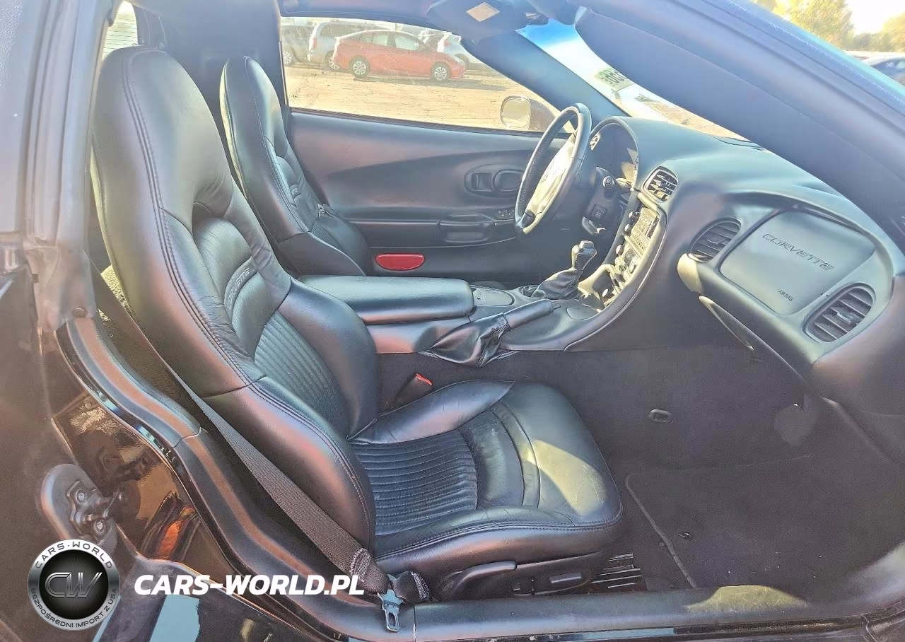 2004 Chevrolet Corvette VIN:1G1YY22GX45132198 - 10