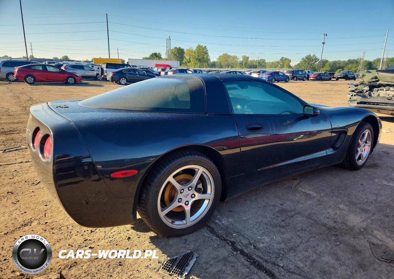 2004 Chevrolet Corvette VIN:1G1YY22GX45132198 - 3