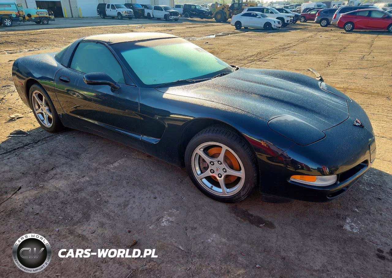2004 Chevrolet Corvette VIN:1G1YY22GX45132198 - 4