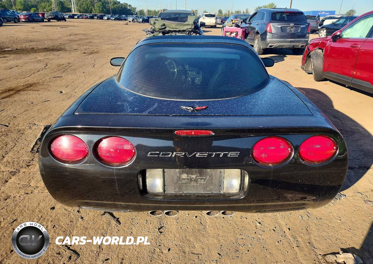 2004 Chevrolet Corvette VIN:1G1YY22GX45132198 - 6