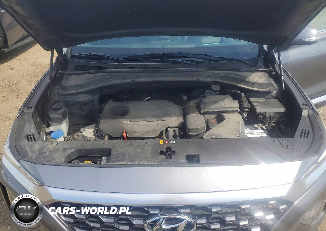 2019 Hyundai Santa Fe Ultimate 2.4L VIN:5NMS5CAD6KH076113 - 12
