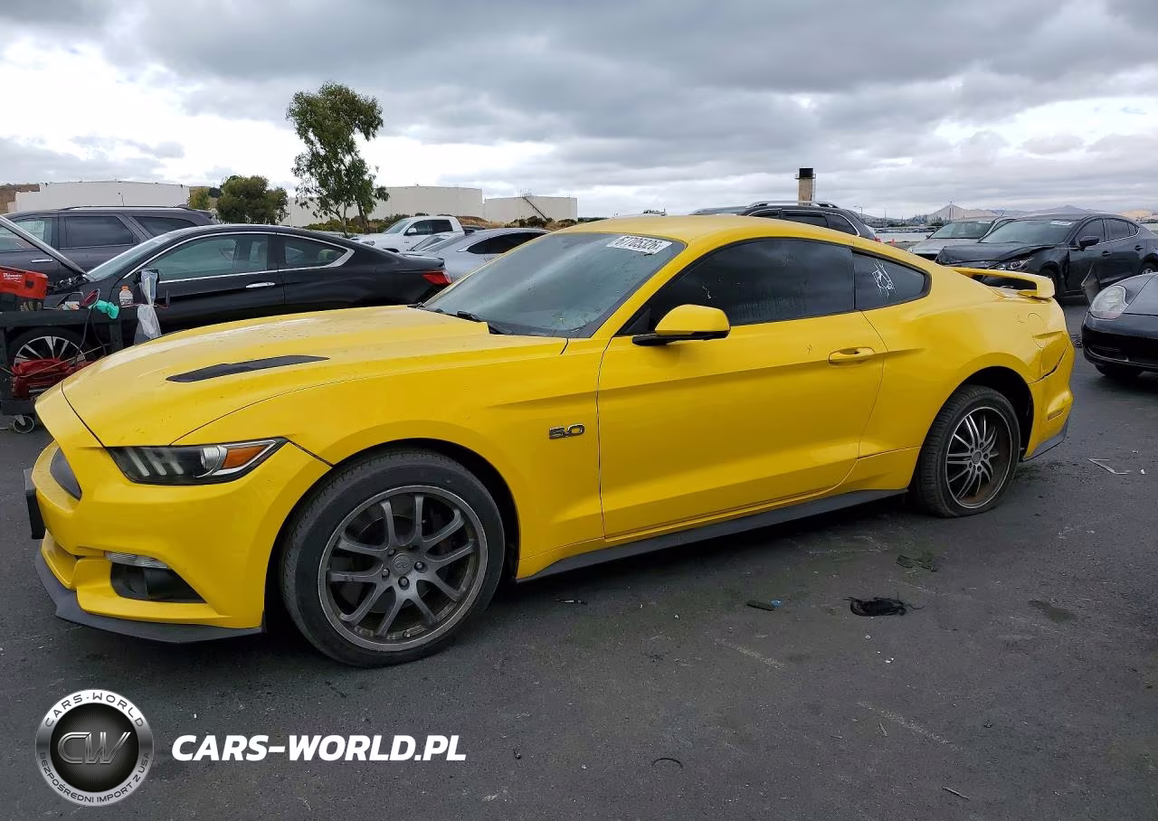 2015 Ford Mustang Gt – zdjęcie 1 z 13
