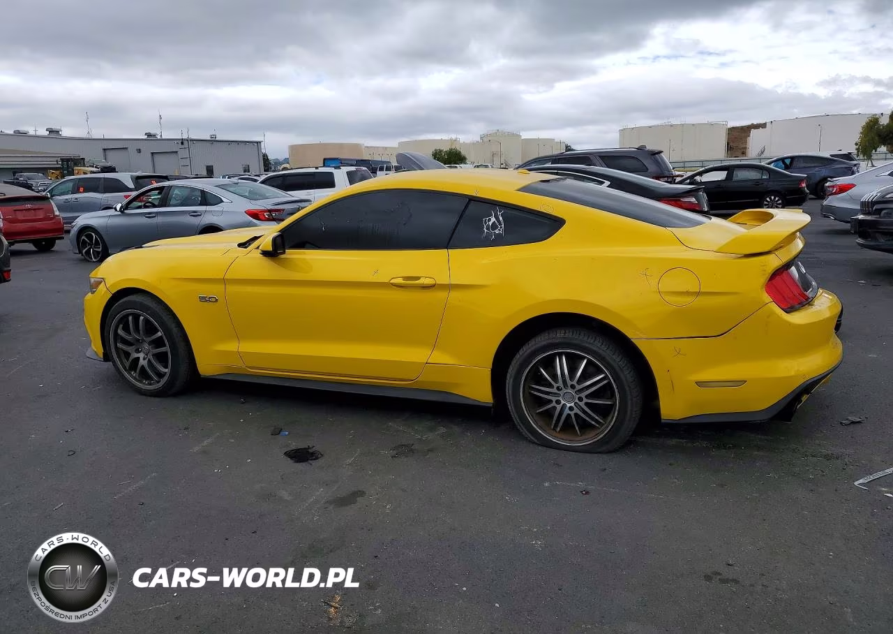 2015 Ford Mustang Gt VIN:1FA6P8CF8F5351499 - 2