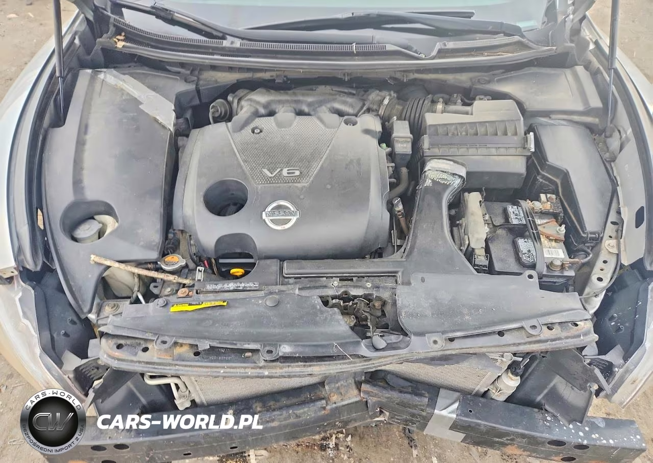 2010 Nissan Maxima 3.5 S VIN:1N4AA5AP7AC838901 - 11