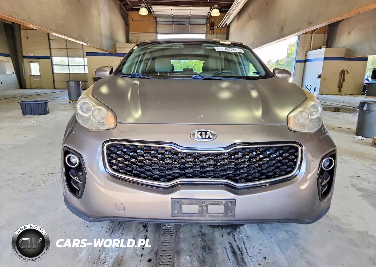 2017 Kia Sportage VIN:KNDPMCAC4H7033065 - 5
