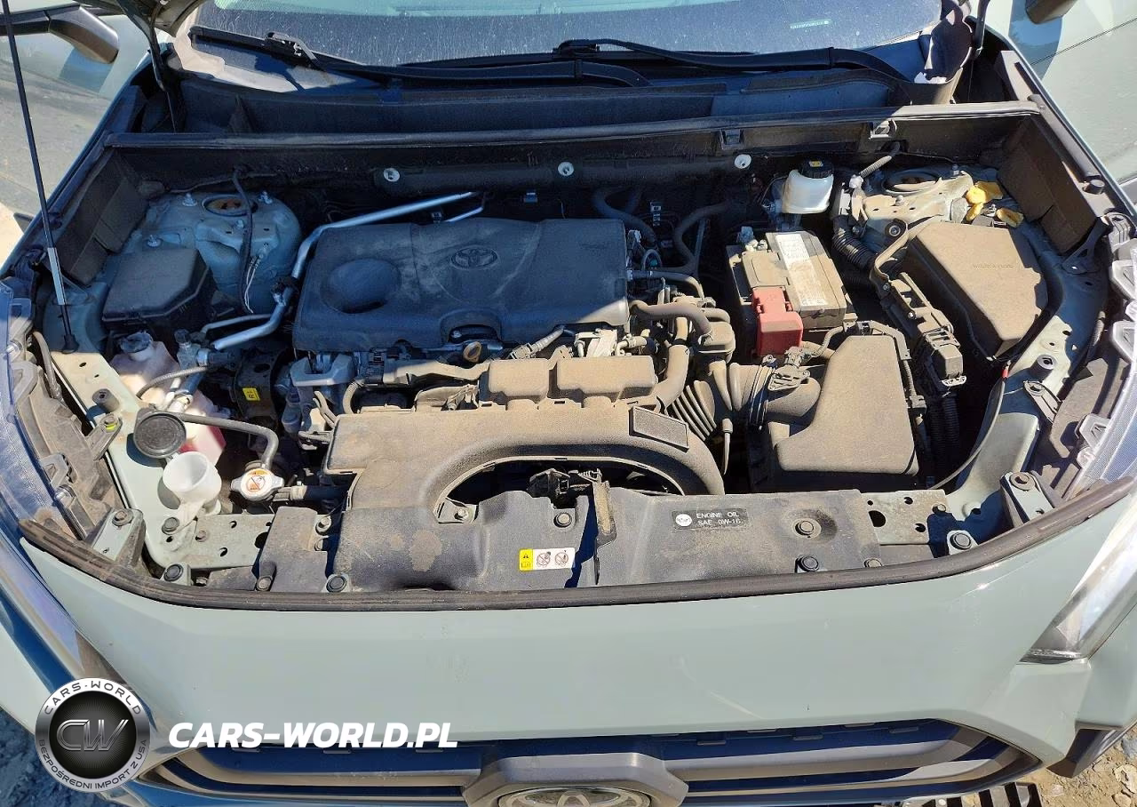 2019 Toyota Rav4 Adventure VIN:2T3J1RFV1KW032124 - 12