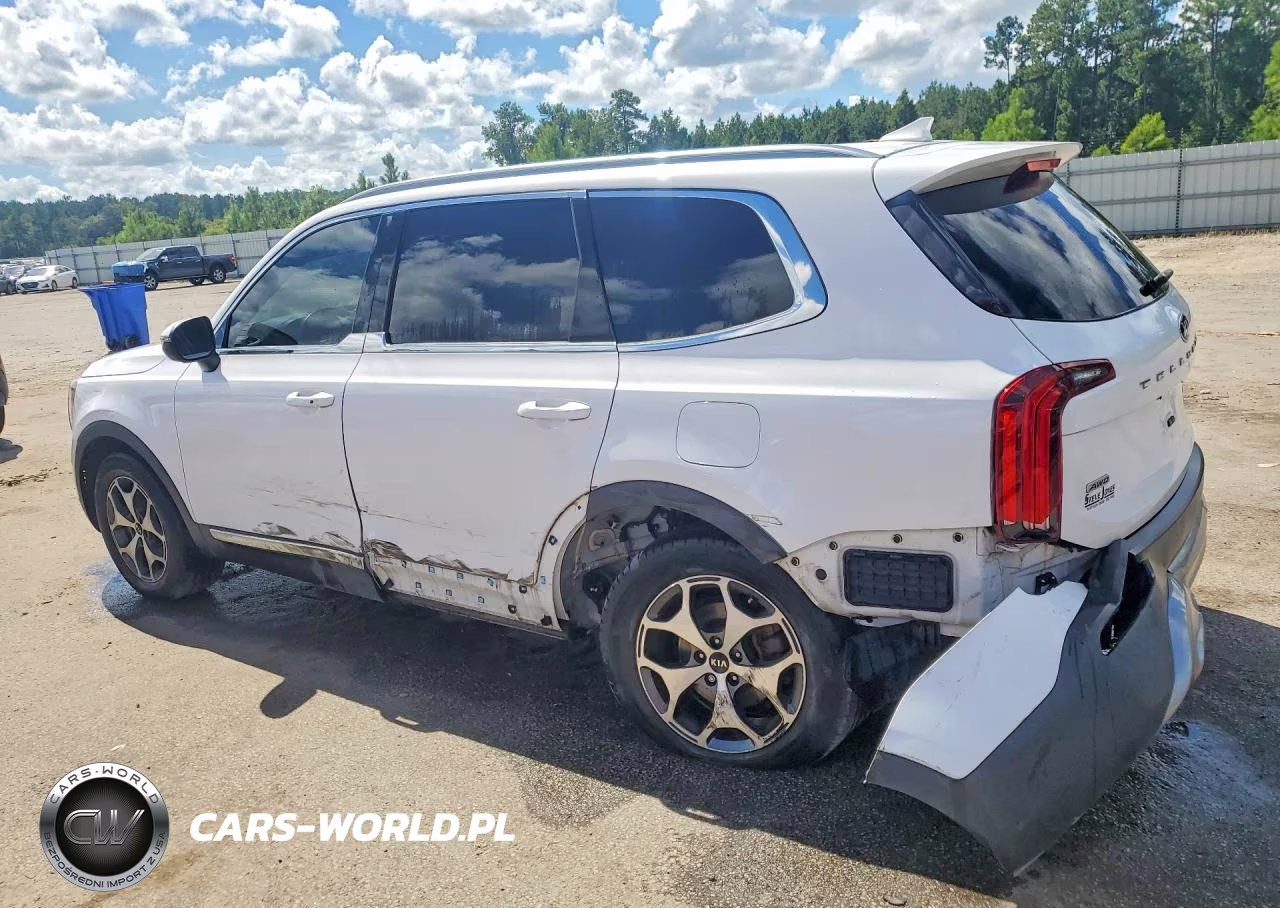 2021 Kia Telluride Ex VIN:5XYP3DHC3MG135694 - 2
