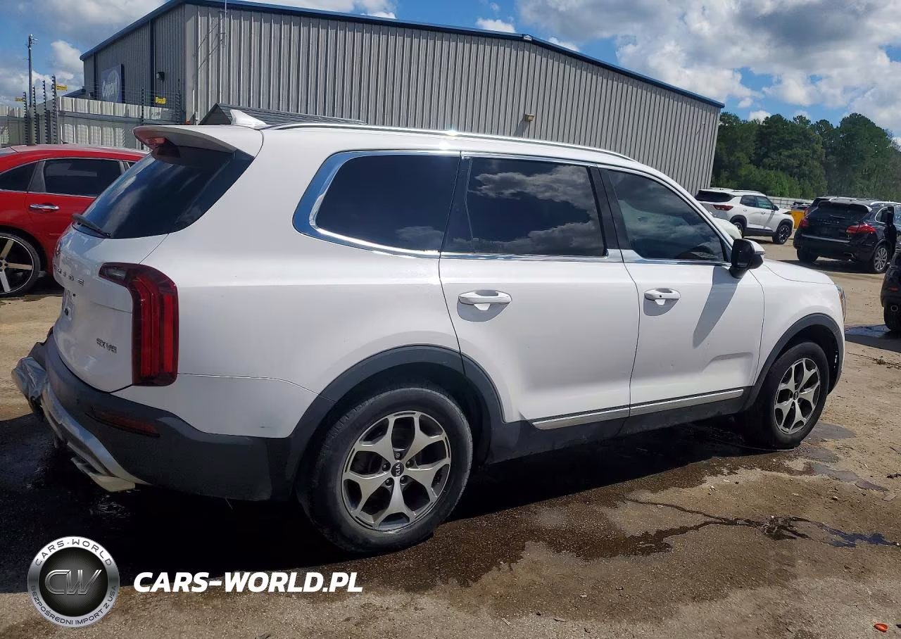 2021 Kia Telluride Ex VIN:5XYP3DHC3MG135694 - 3