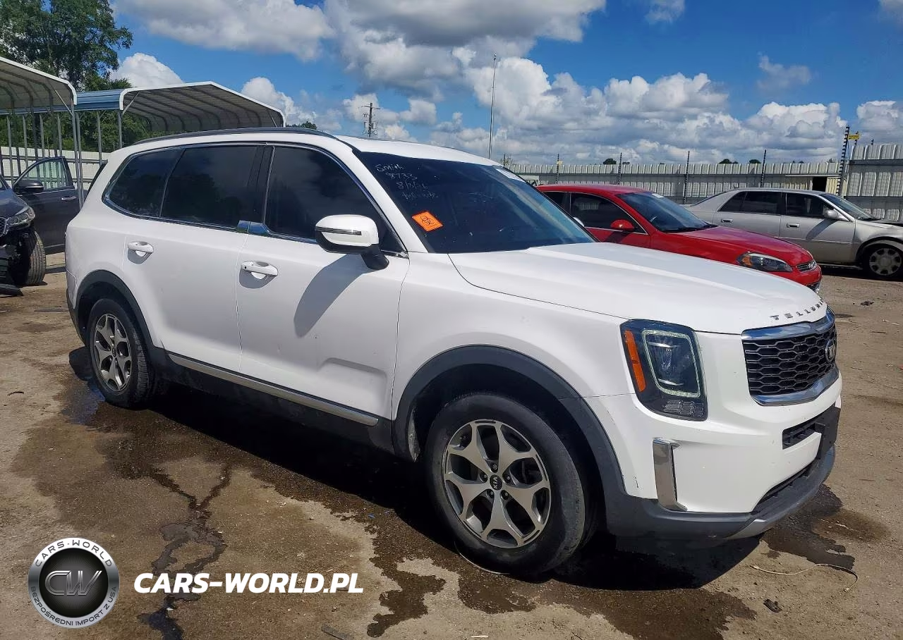 2021 Kia Telluride Ex VIN:5XYP3DHC3MG135694 - 4