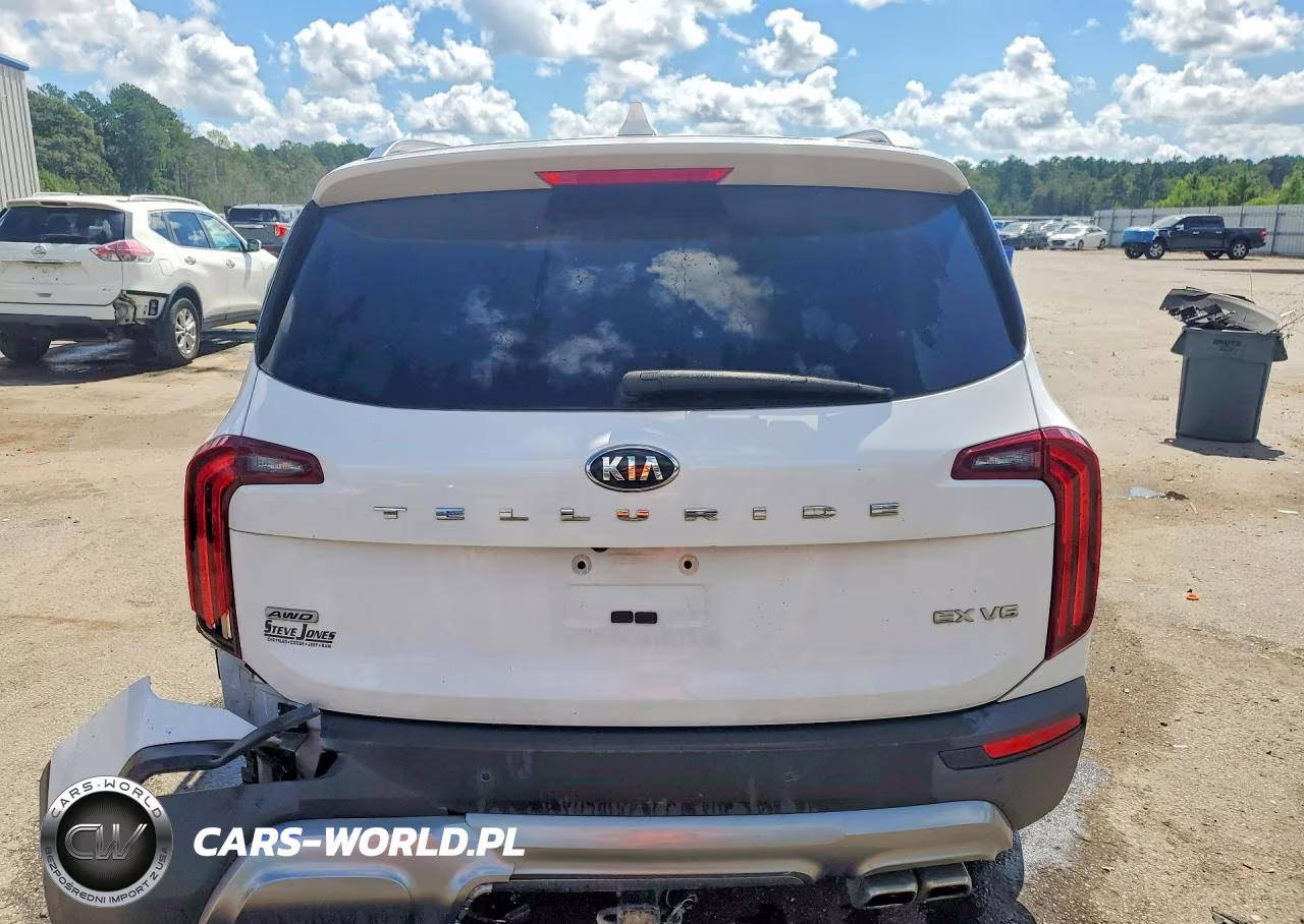 2021 Kia Telluride Ex VIN:5XYP3DHC3MG135694 - 6