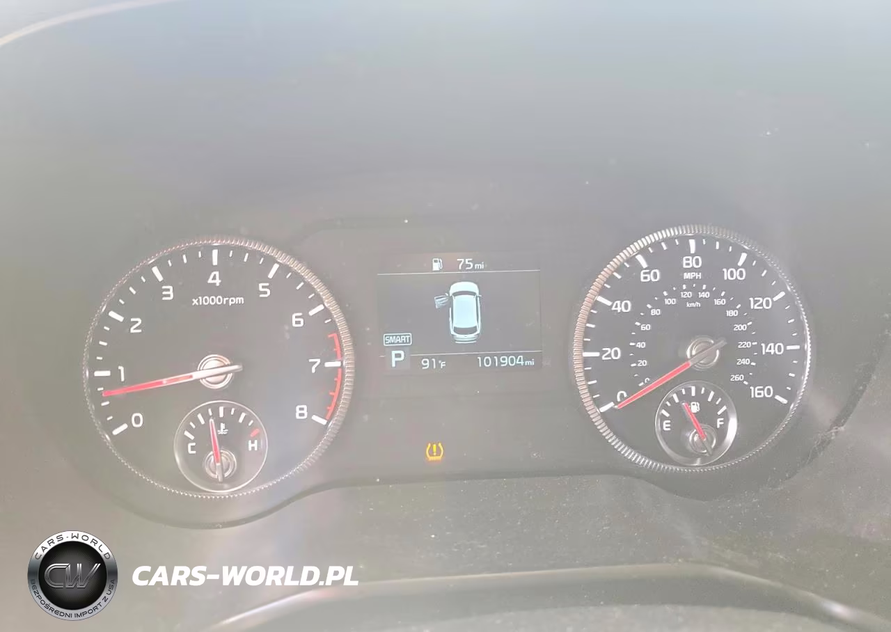 2021 Kia Telluride Ex VIN:5XYP3DHC3MG135694 - 9