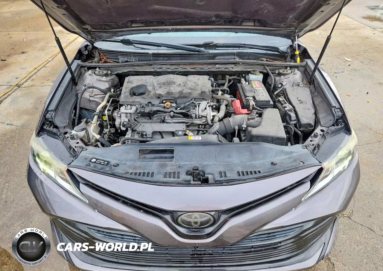 2019 Toyota Camry Le VIN:4T1B11HK2KU752145 - 11