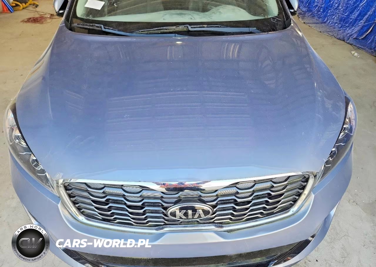 2020 Kia Sorento L VIN:5XYPG4A36LG669446 - 12