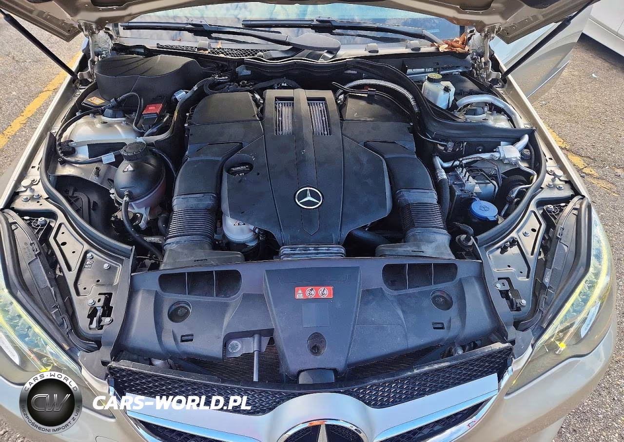 2016 Mercedes-Benz E 400 VIN:WDDKK6FF3GF323165 - 11