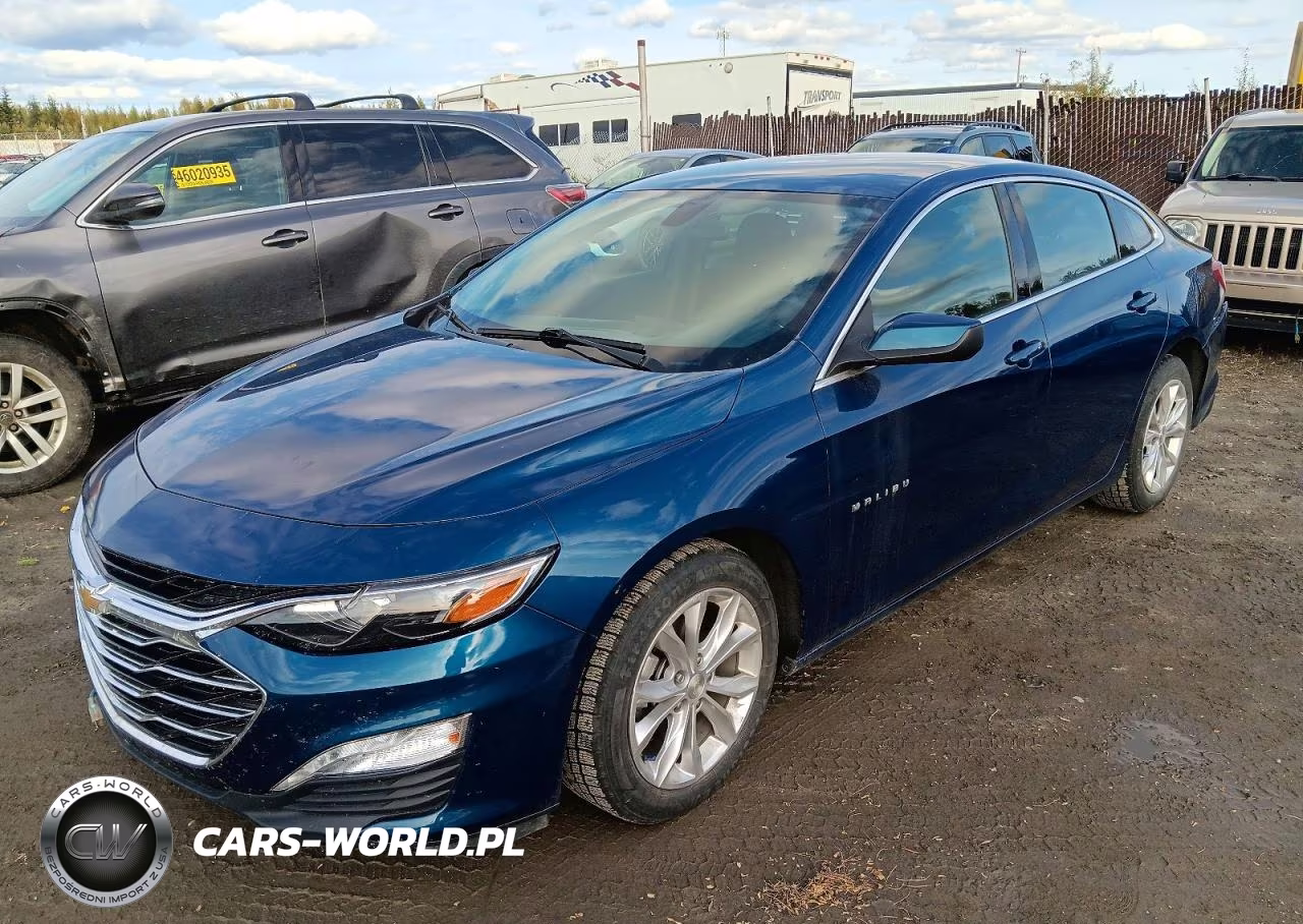 2019 Chevrolet Malibu Lt VIN:1G1ZD5ST8KF214873 - 1
