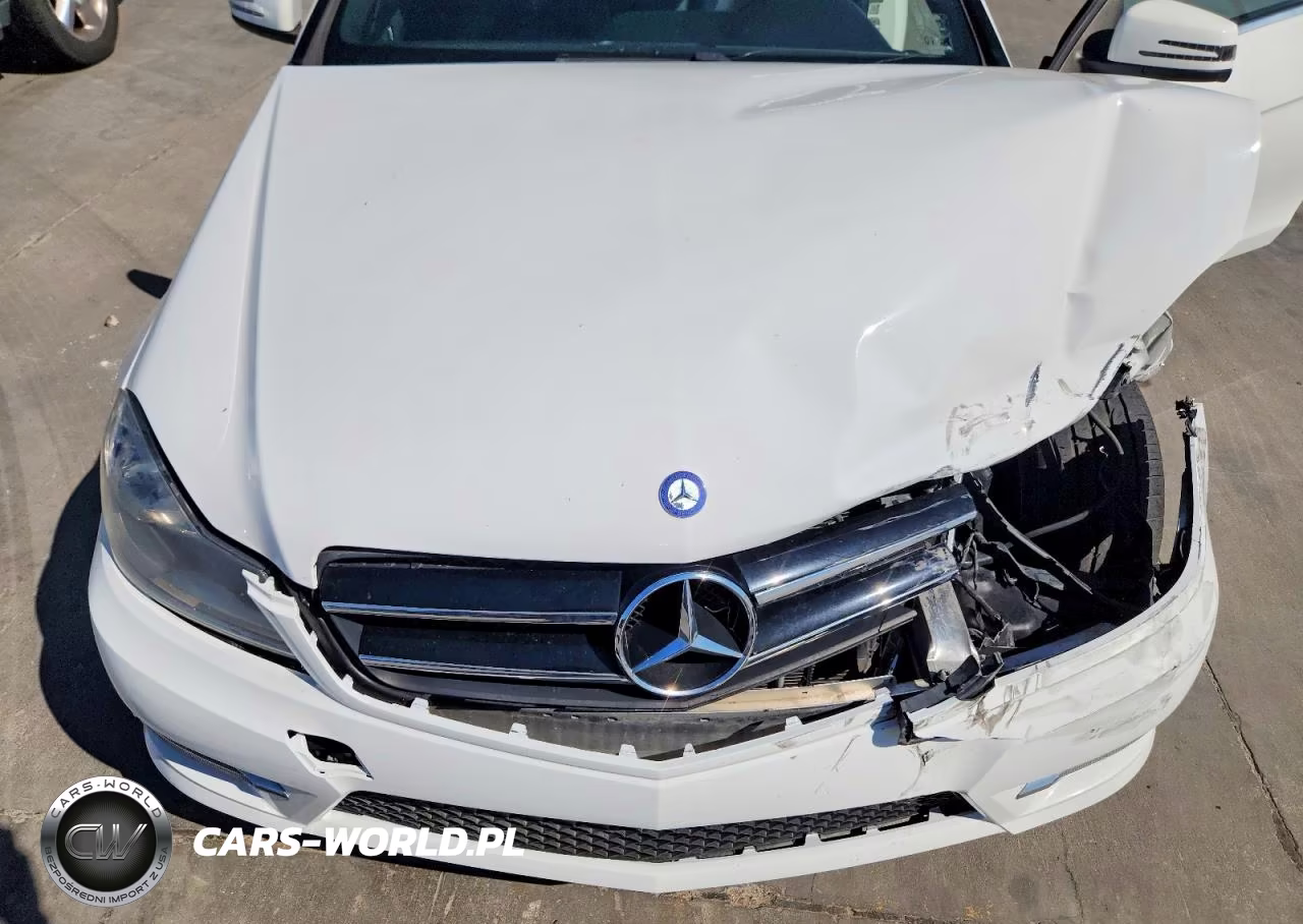 2014 Mercedes-Benz C 250 VIN:WDDGJ4HB2EG295406 - 11