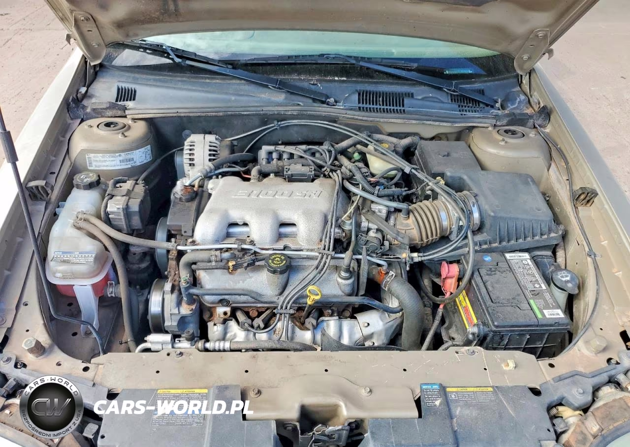 2002 Chevrolet Malibu VIN:1G1ND52J42M613000 - 11