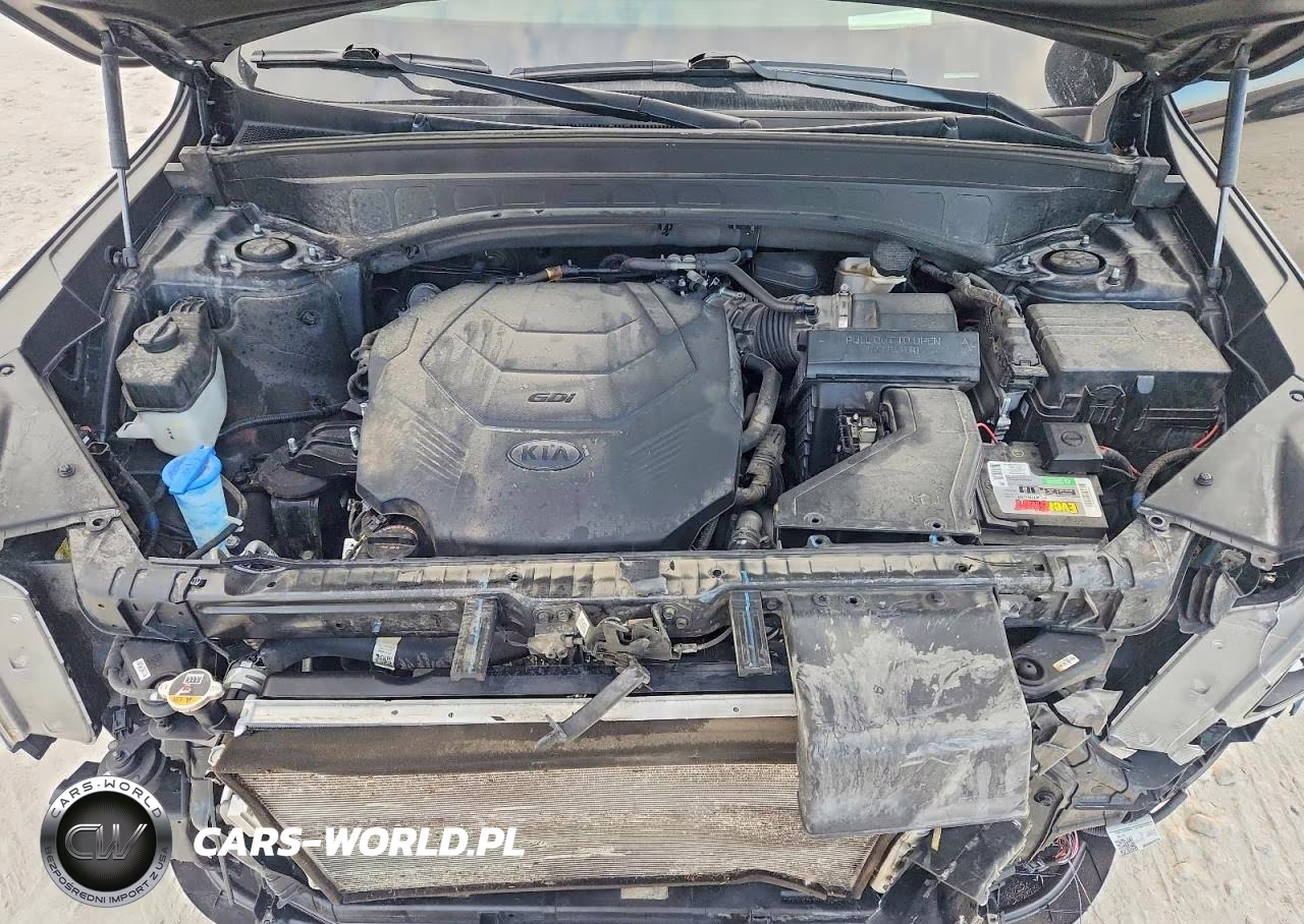 2020 Kia Telluride Sx VIN:5XYP5DHC7LG074181 - 12