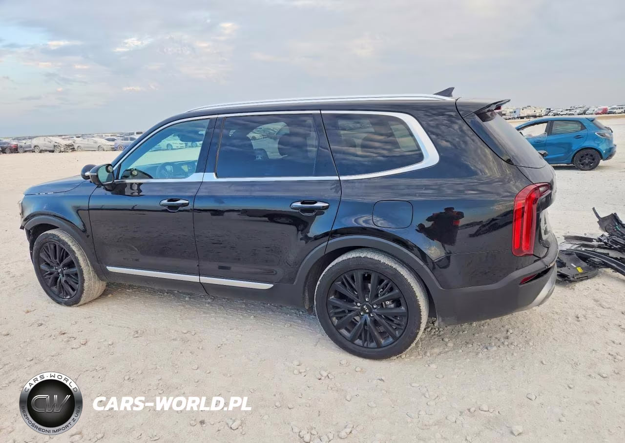 2020 Kia Telluride Sx VIN:5XYP5DHC7LG074181 - 2