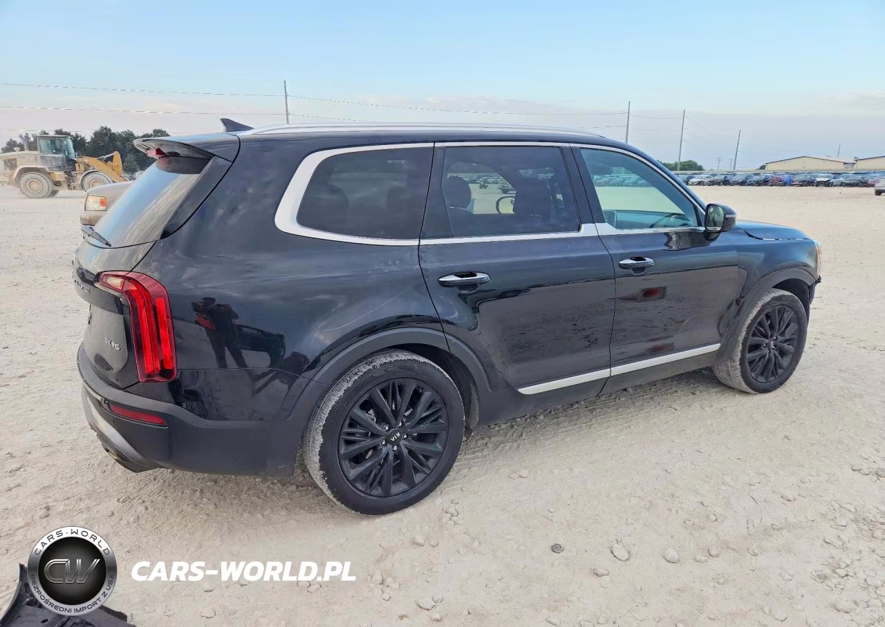 2020 Kia Telluride Sx VIN:5XYP5DHC7LG074181 - 3