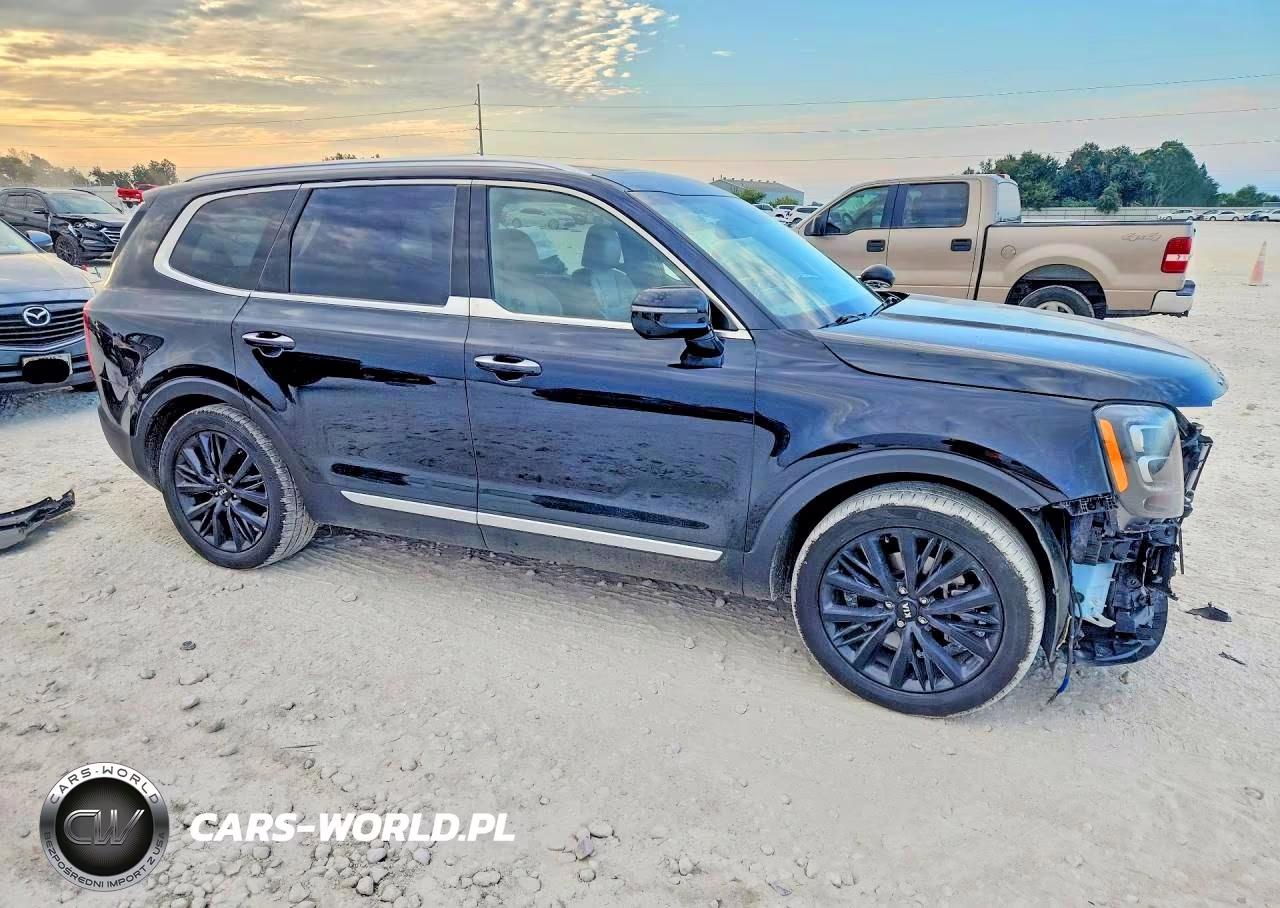 2020 Kia Telluride Sx VIN:5XYP5DHC7LG074181 - 4