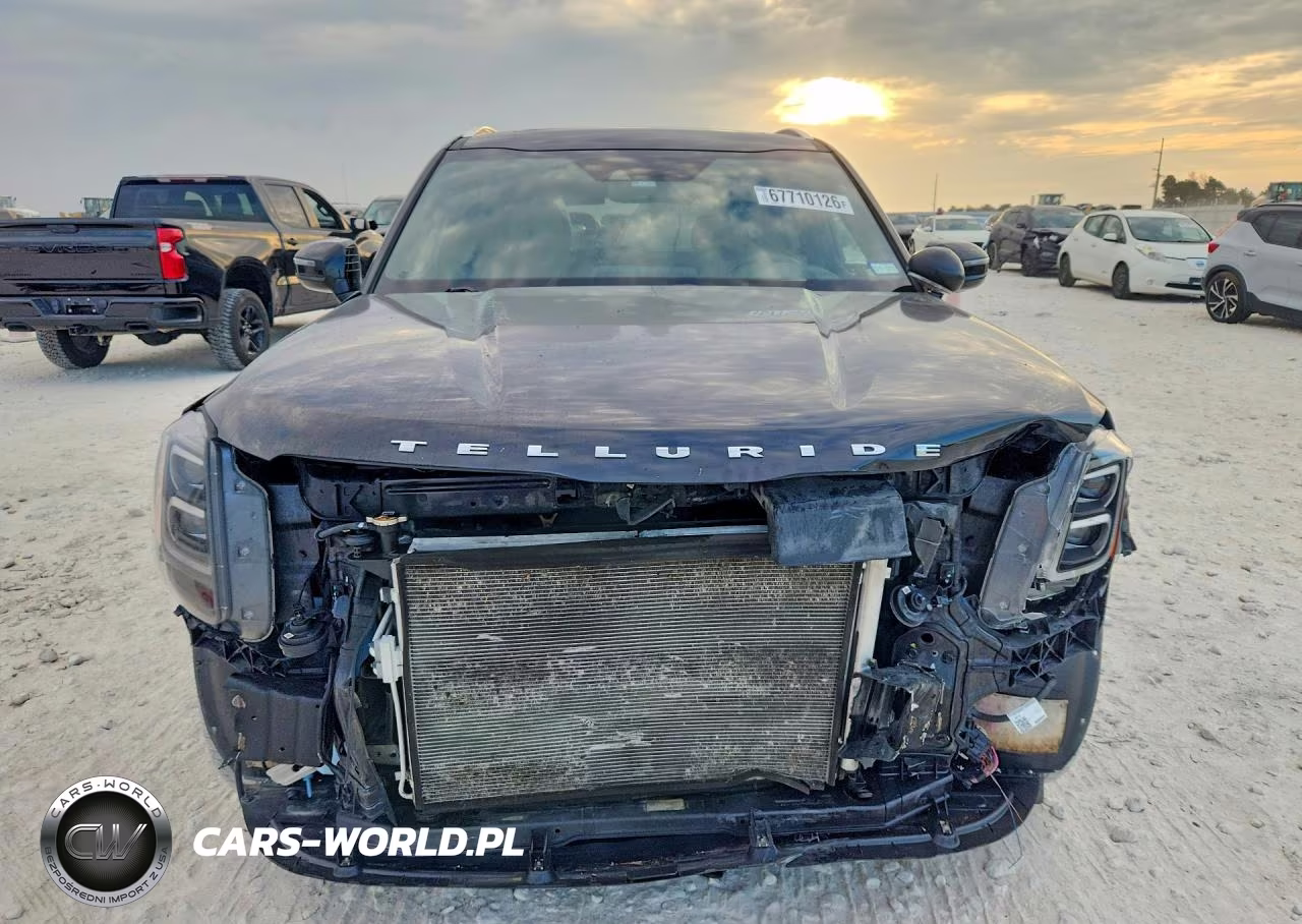 2020 Kia Telluride Sx VIN:5XYP5DHC7LG074181 - 5