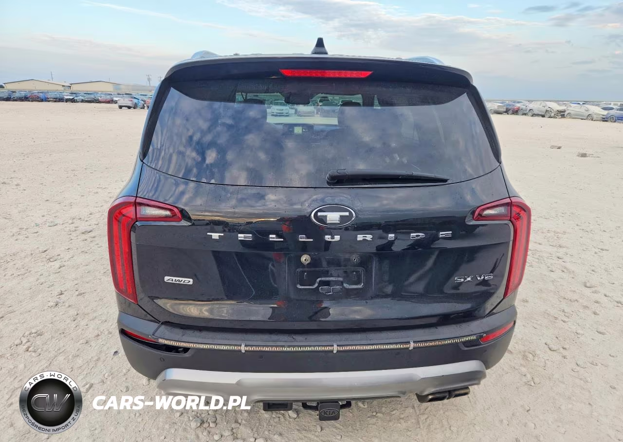 2020 Kia Telluride Sx VIN:5XYP5DHC7LG074181 - 6