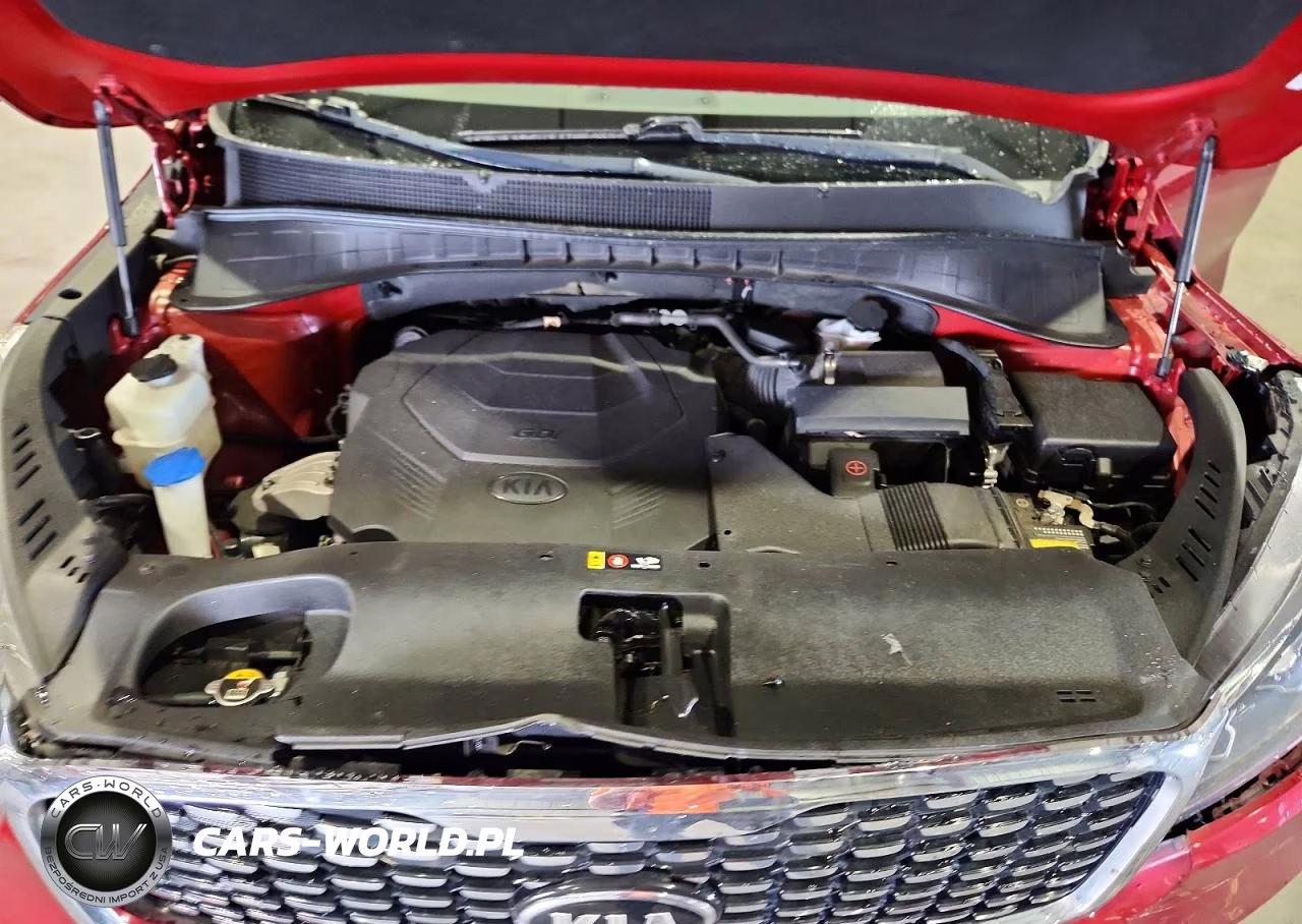 2019 Kia Sorento Sx V6 VIN:5XYPK4A53KG506087 - 12