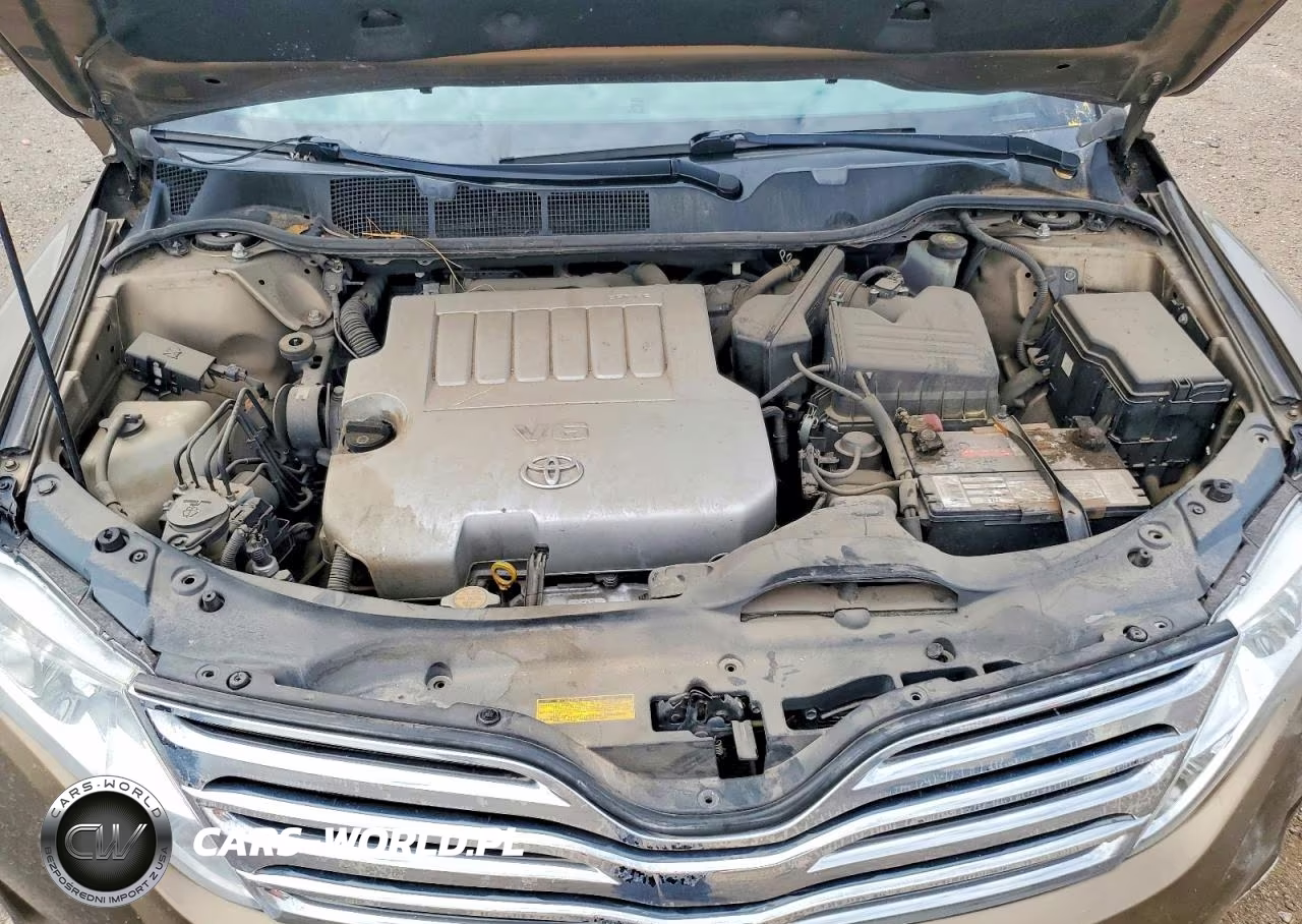 2010 Toyota Venza Awd V6 VIN:4T3BK3BB0AU039302 - 11