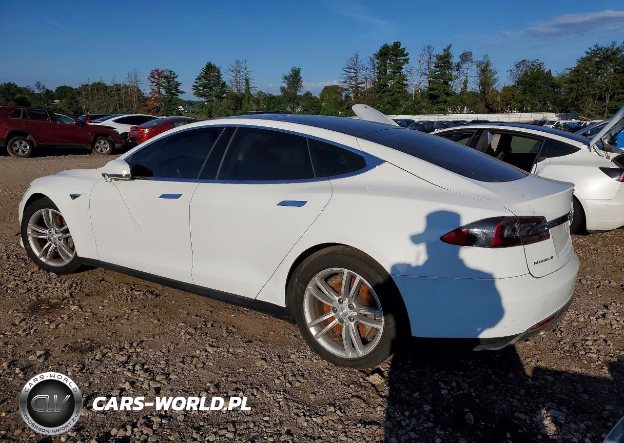 2013 Tesla Model S VIN:5YJSA1CN7DFP26366 - 2