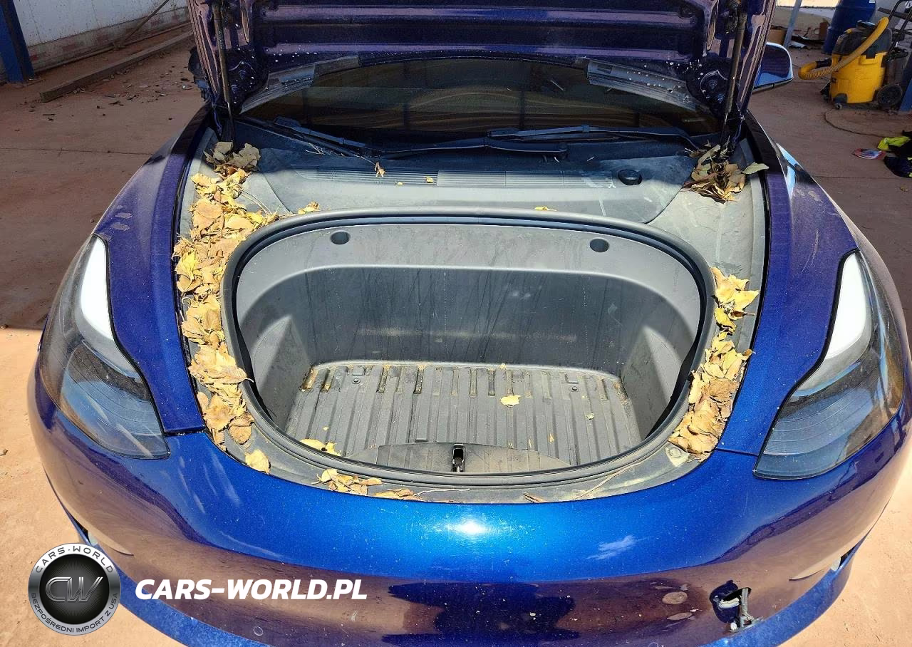 2022 Tesla Model 3 VIN:5YJ3E1EB8NF341007 - 11