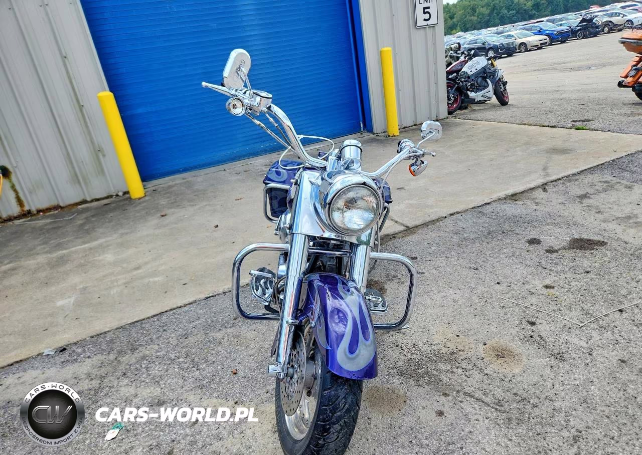 2002 Harley-Davidson Flhrsei VIN:1HD1PDC1X2Y954060 - 2