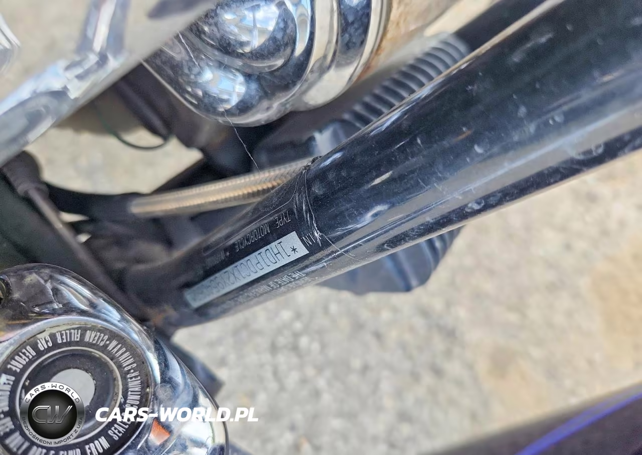 2002 Harley-Davidson Flhrsei VIN:1HD1PDC1X2Y954060 - 9