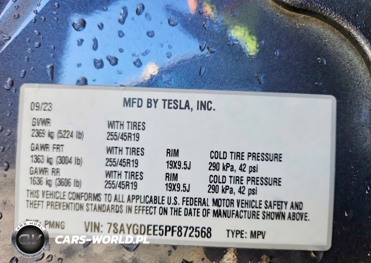 2023 Tesla Model Y VIN:7SAYGDEE5PF872568 - 12
