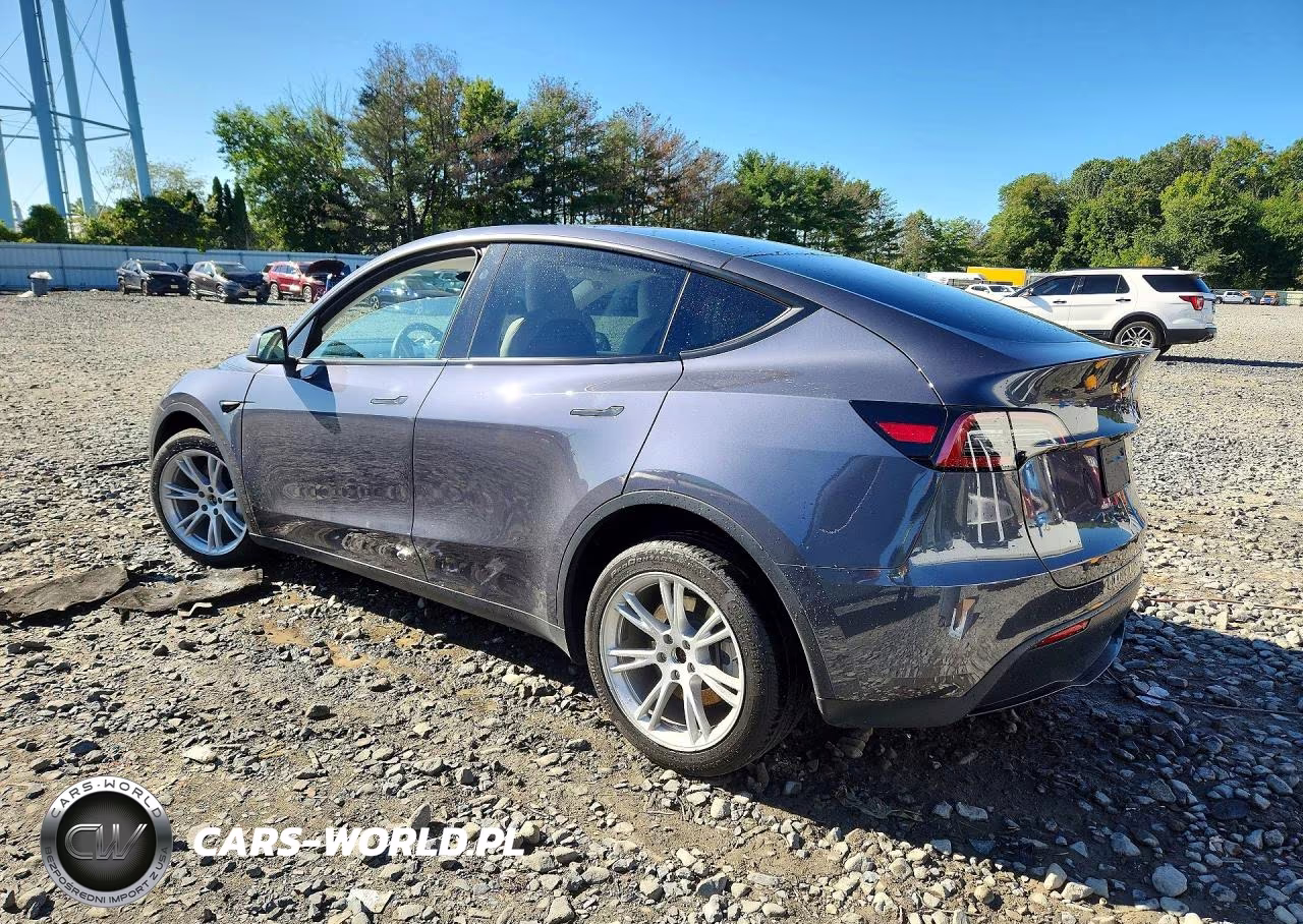 2023 Tesla Model Y VIN:7SAYGDEE5PF872568 - 2