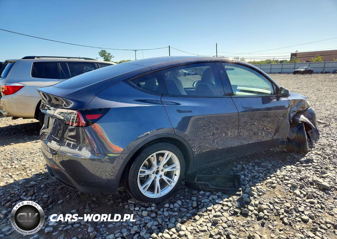 2023 Tesla Model Y VIN:7SAYGDEE5PF872568 - 3
