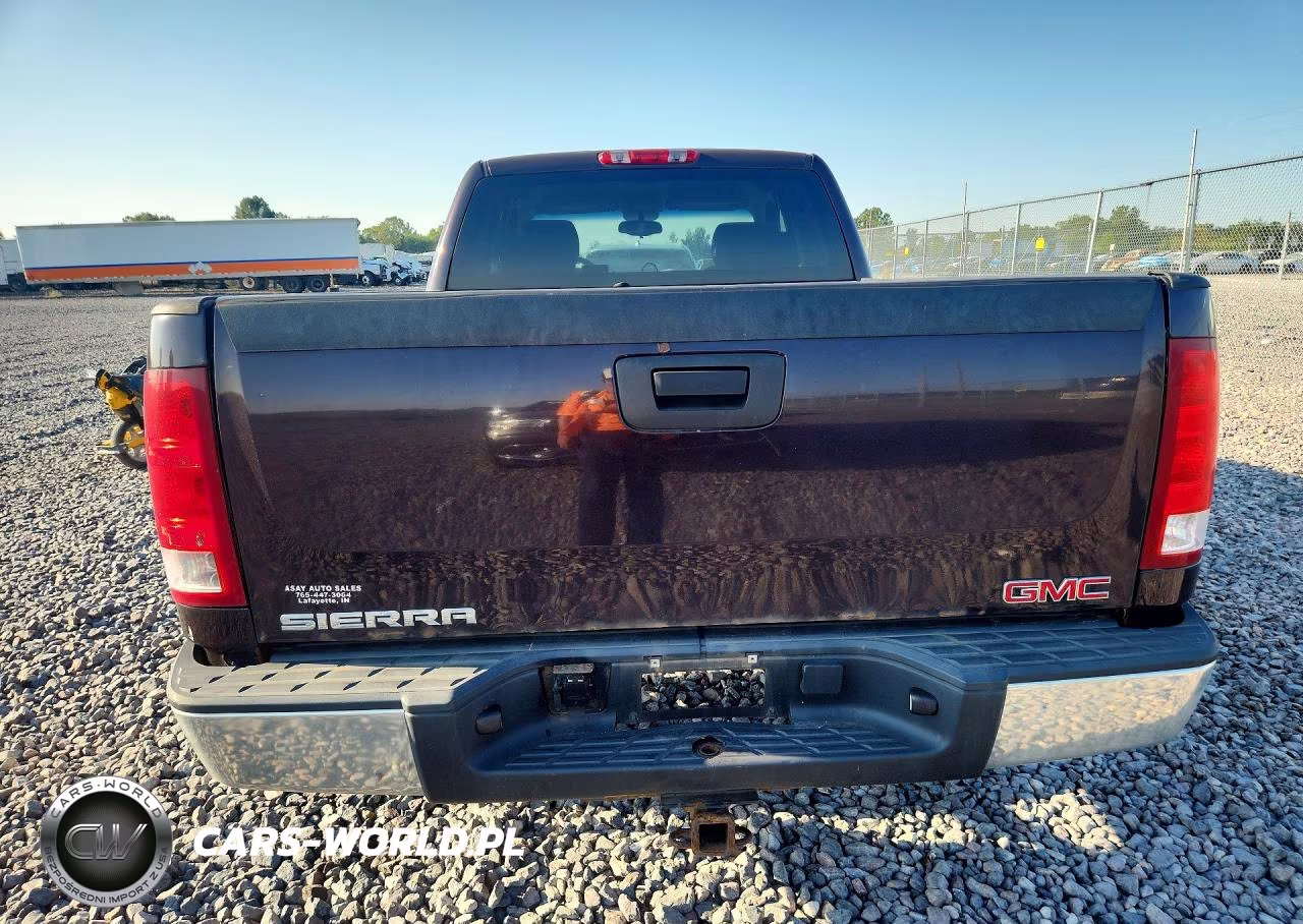 2009 GMC Sierra K1500 VIN:1GTEK19C29Z185440 - 6