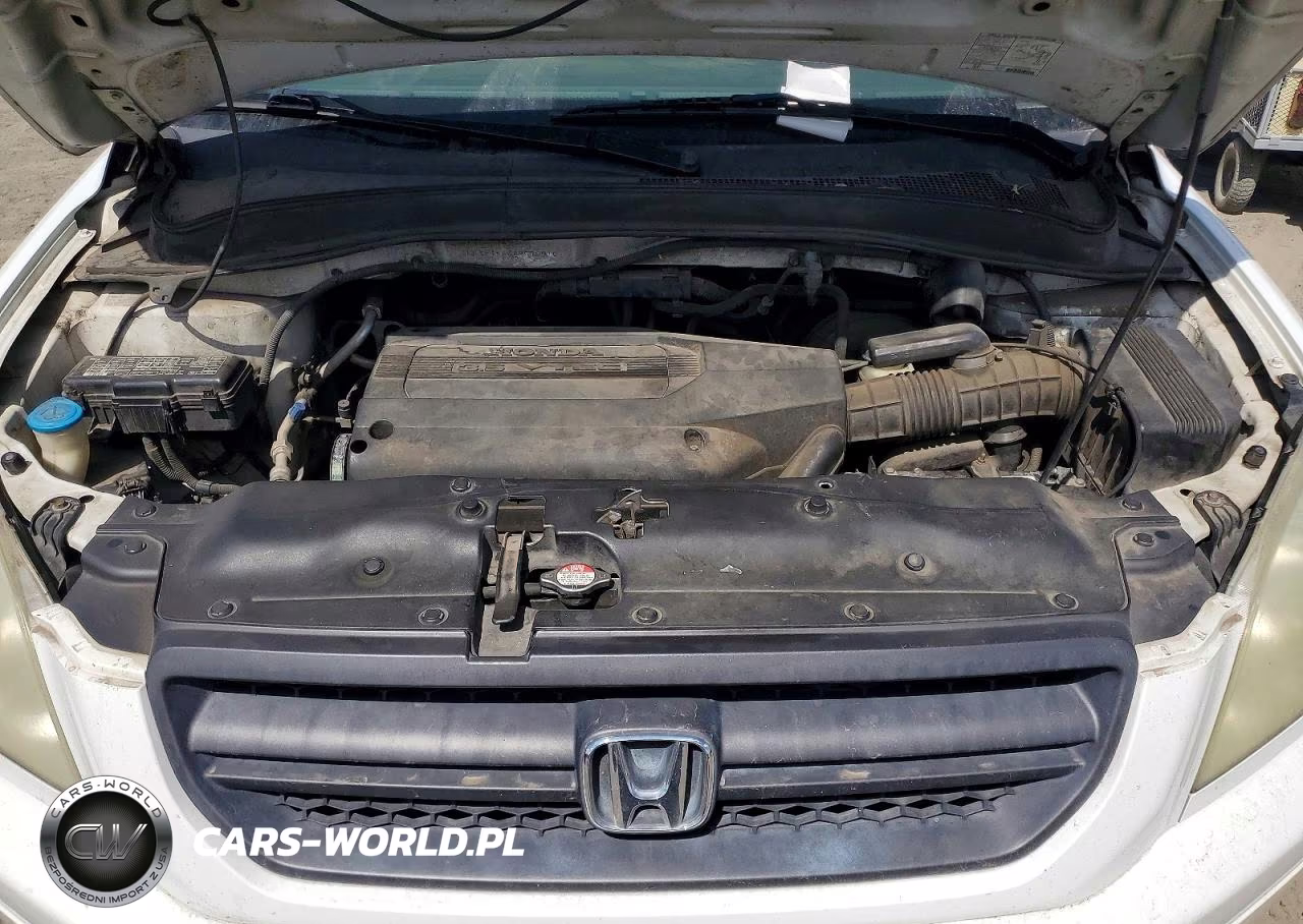 2004 Honda Pilot Ex VIN:2HKYF18464H570916 - 12